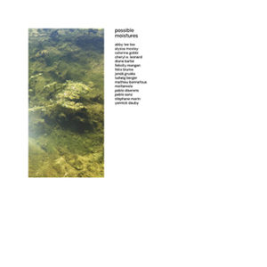 Possible Moistures album thumbnail