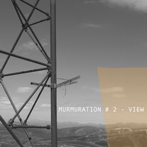 Murmuration 2 album thumbnail