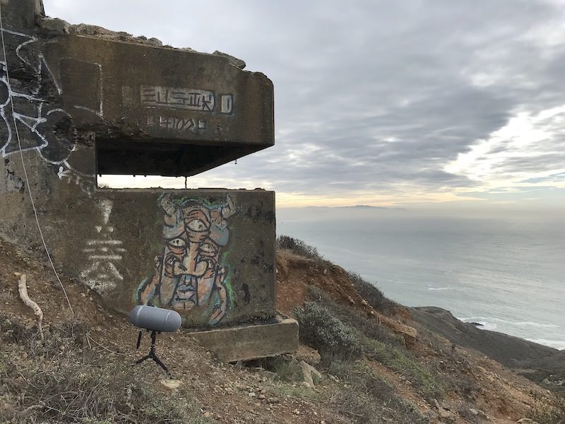 Cheryl Leonard - seaside