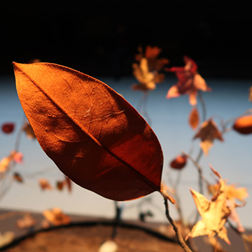 Asterisms Instruments thumbnail